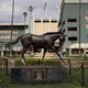 Illustration for article titled Despite Track Shutdown, Horses Keep Dying At Santa Anita